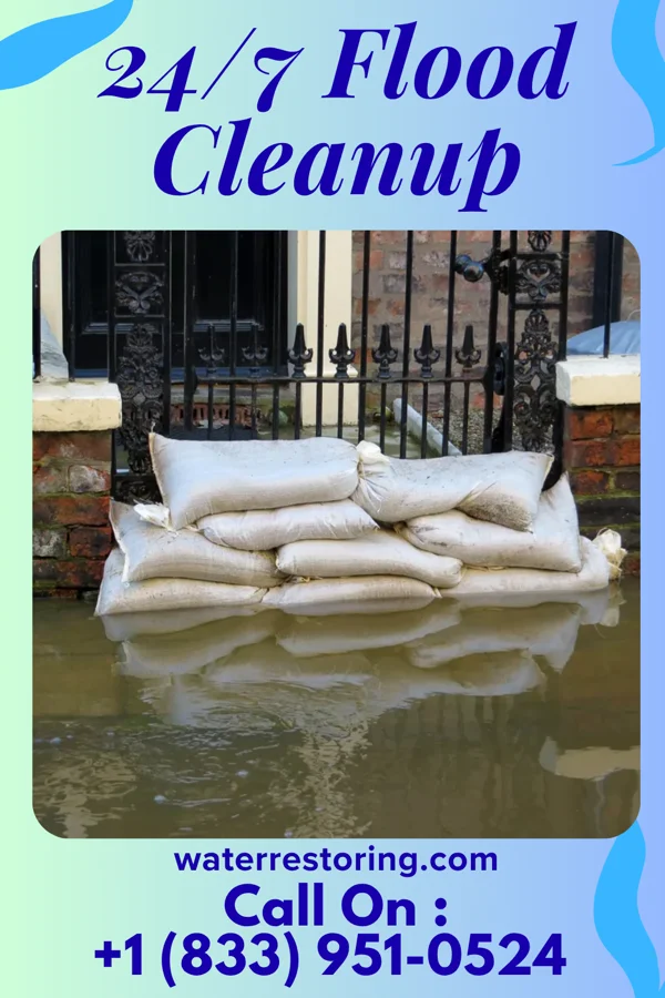 24/7 Flood Cleanup in Thunderbird Bay, TX