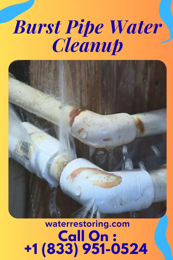 Burst Pipe Water Cleanup in Thunderbird Bay, TX