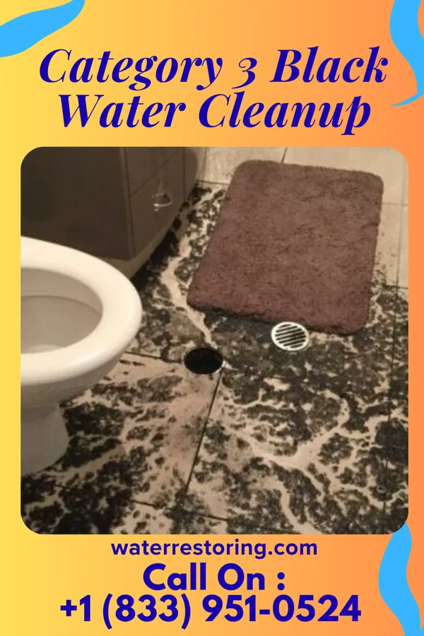 Category 3 Black Water Cleanup in Thunderbird Bay, TX