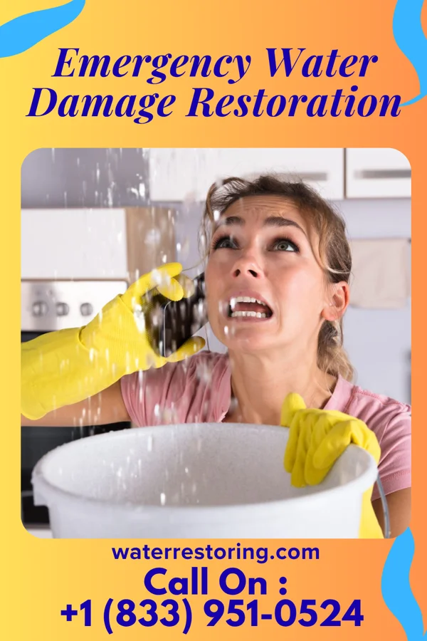 Emergency Water Damage Restoration in Thunderbird Bay, TX