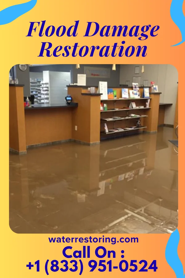 Flood Damage Restoration in Thunderbird Bay, TX