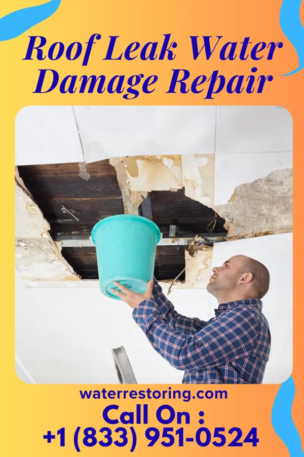 Roof Leak Water Damage Repair in Thunderbird Bay, TX
