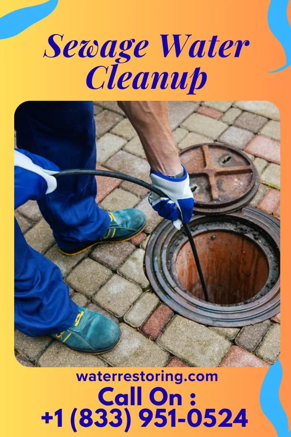Sewage Water Cleanup in Thunderbird Bay, TX